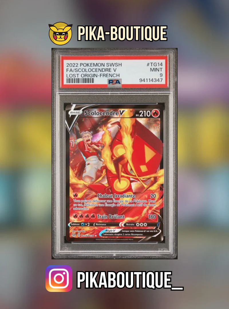 TG14 - PSA9  SCOLOCENDRE - Carte gradée -