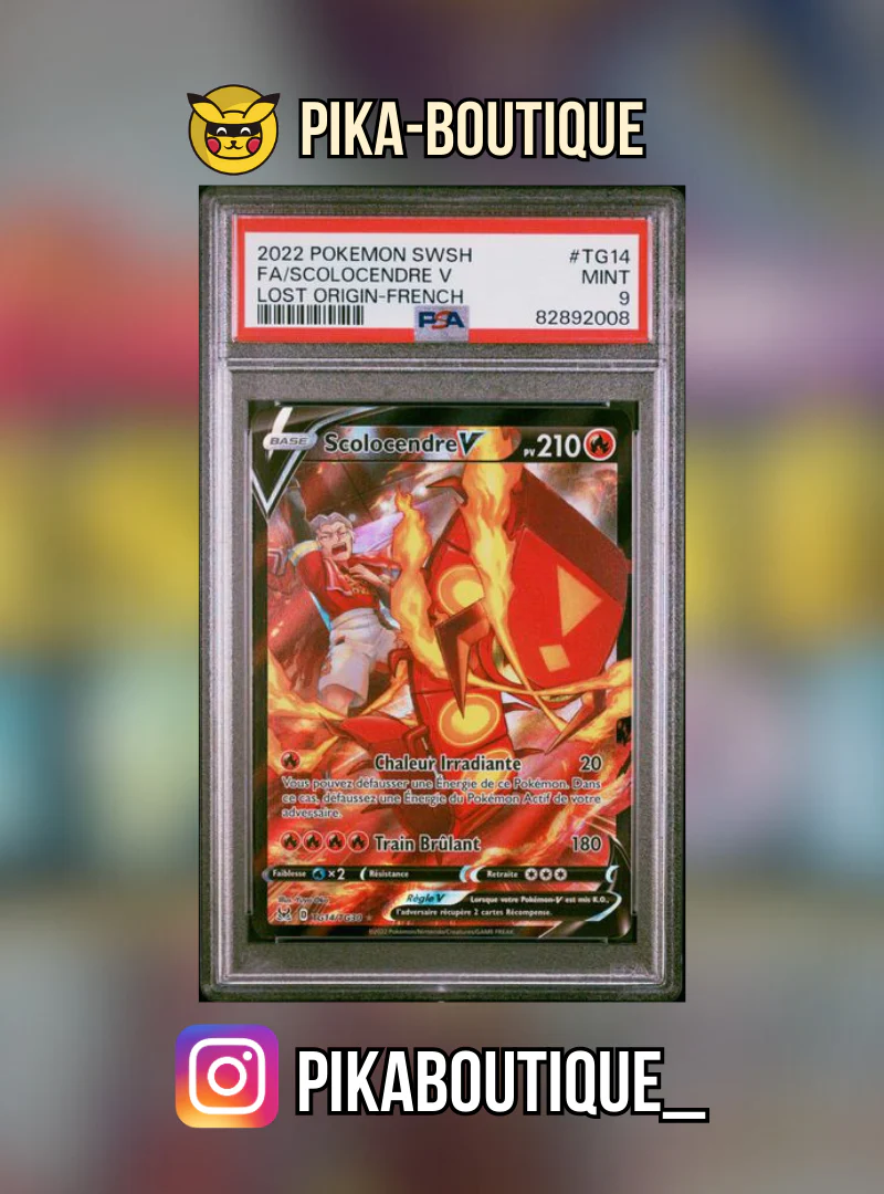 TG14 - PSA9  SCOLOCENDRE - Carte gradée -